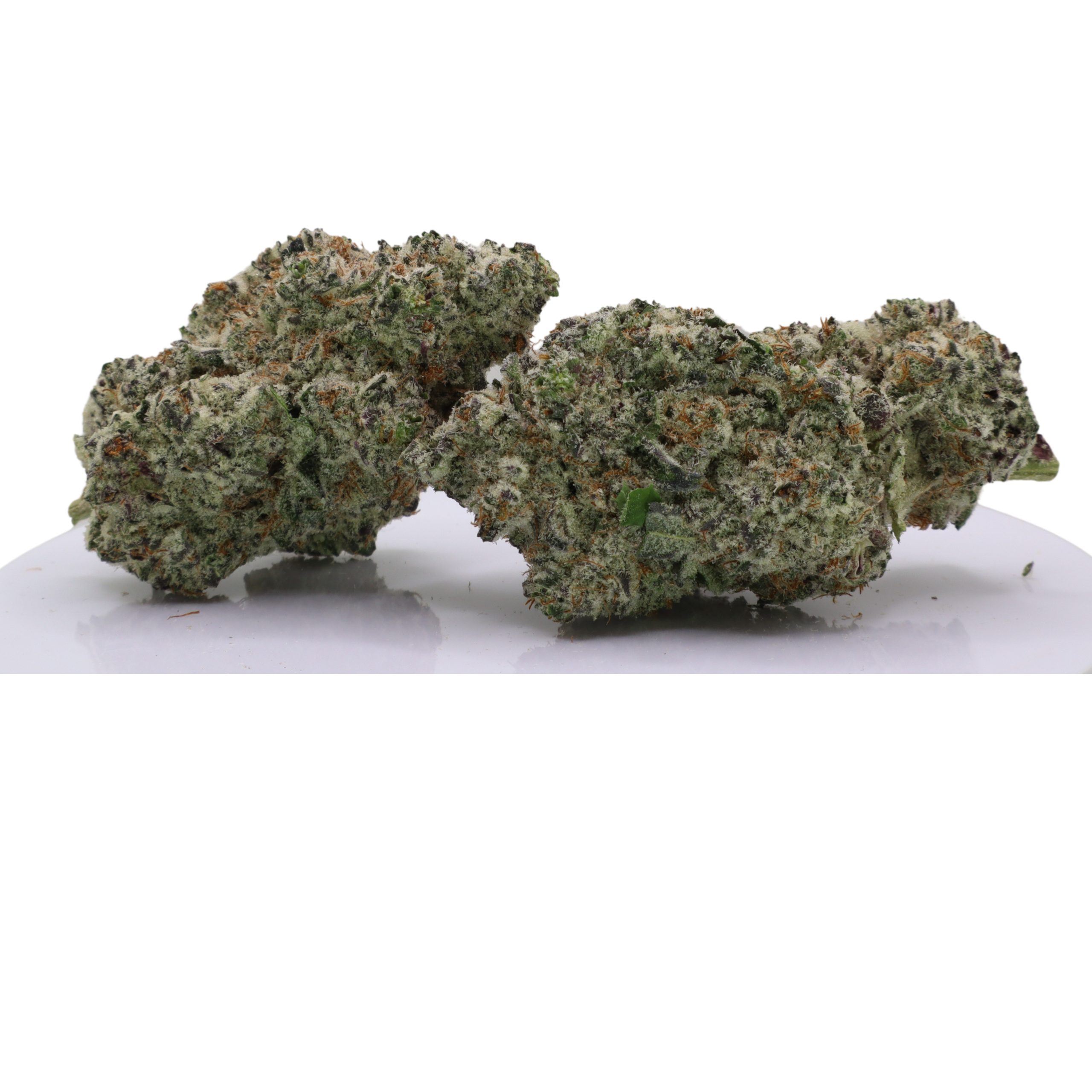 Zkittles - Image 2