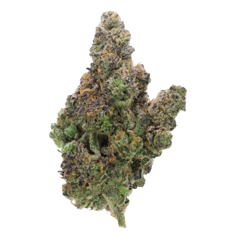 Grease Monkey