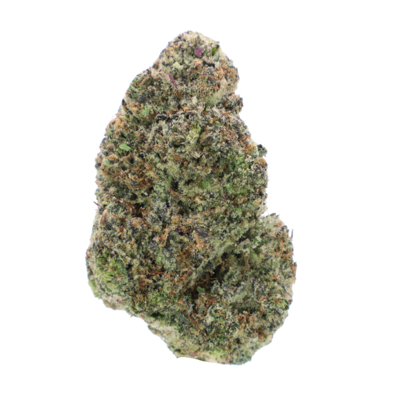 Gastro pop 1g - Hybrid