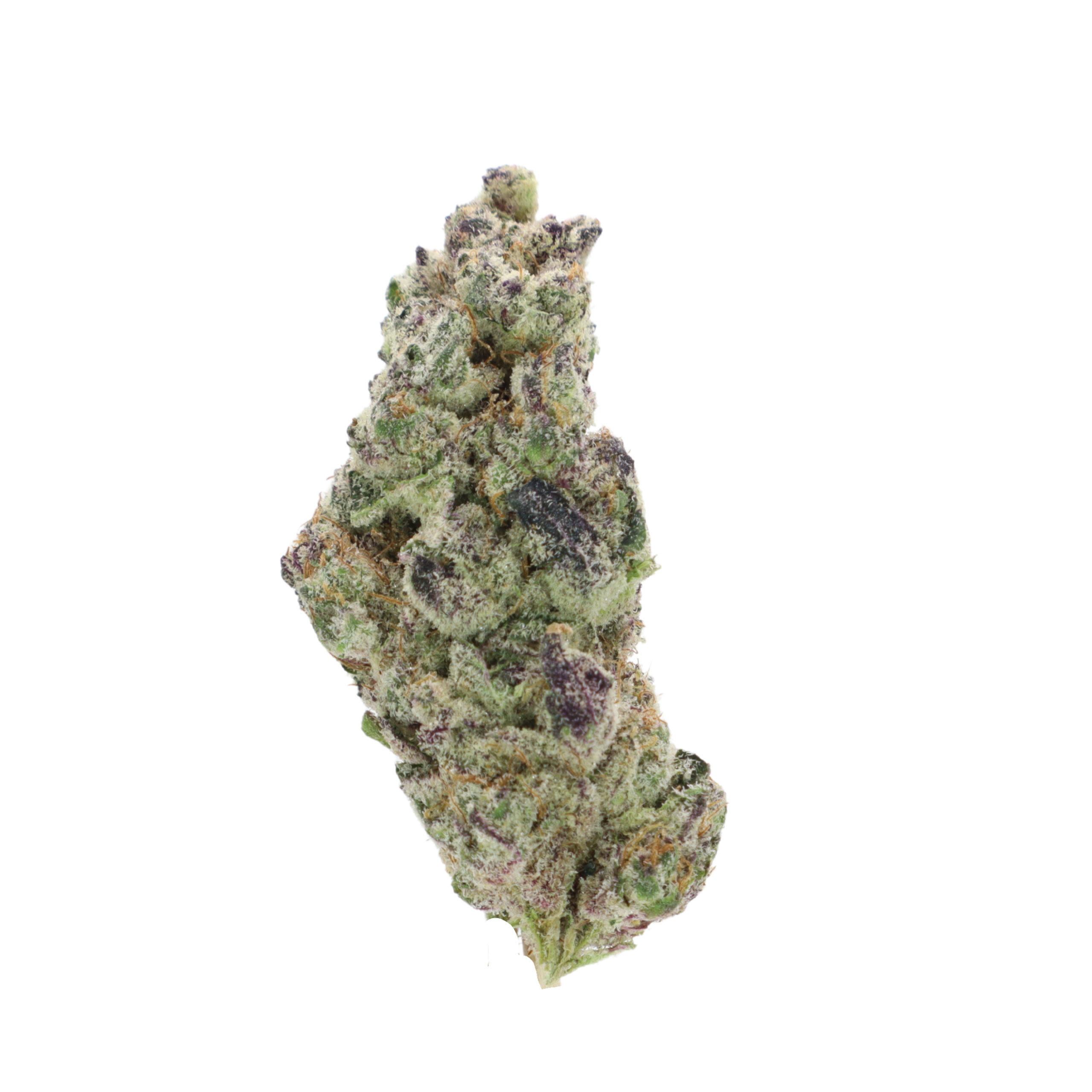 Indica