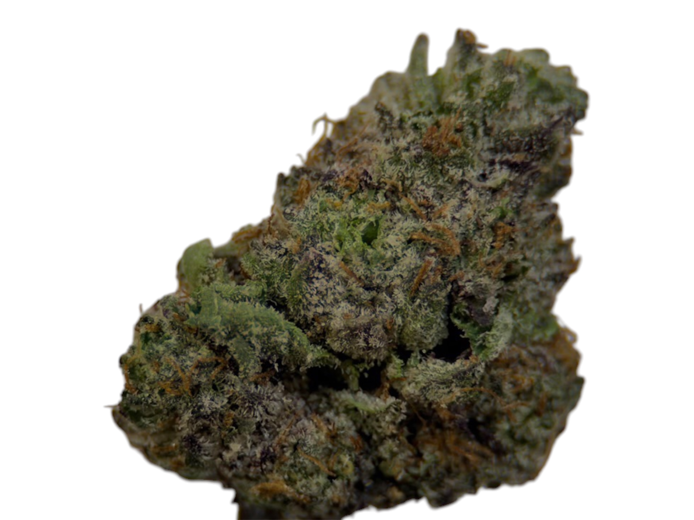 Wedding Crasher - Indica