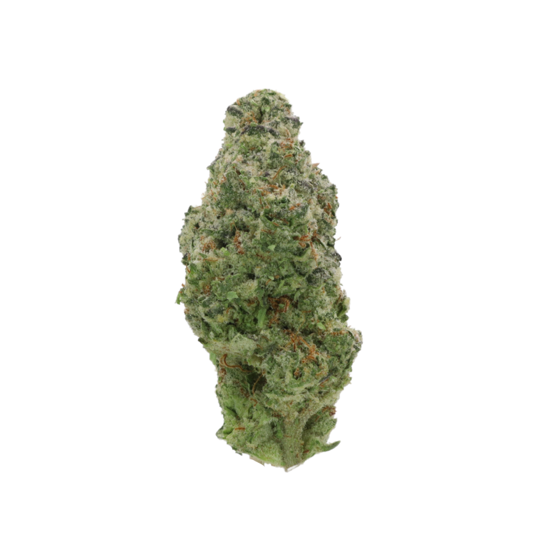 Money Maker 3.5G Indica
