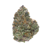 Blue City Diesel - Hybrid