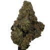 Lemon Cherry Gelato - Hybrid