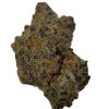 Strawberry Gary Payton - Hybrid