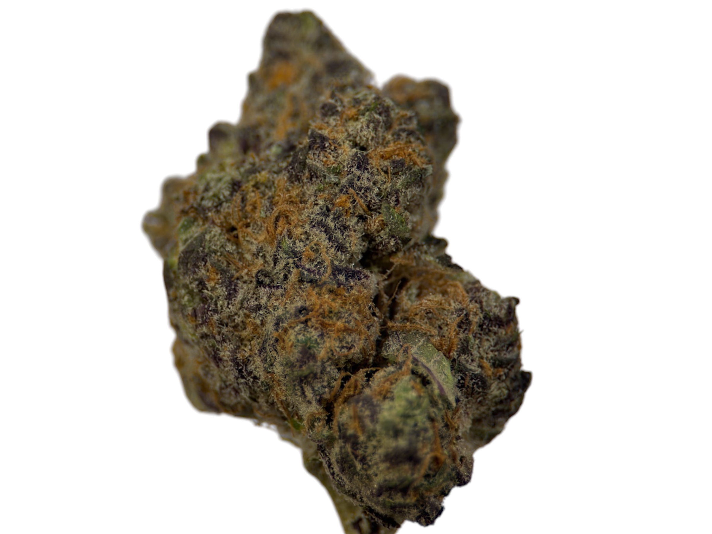 Strawberry Gary Payton - Hybrid